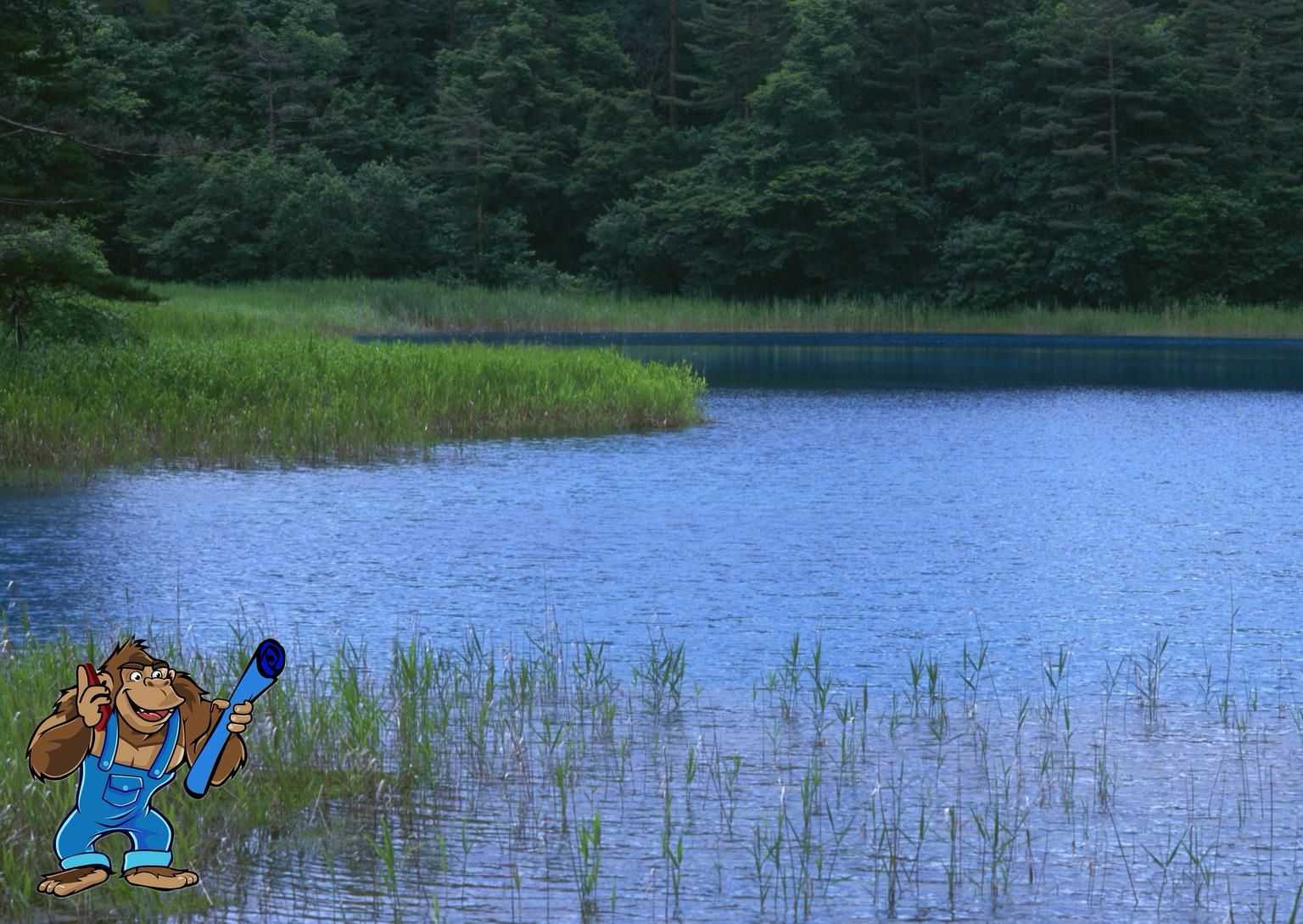 Pond Building Services
